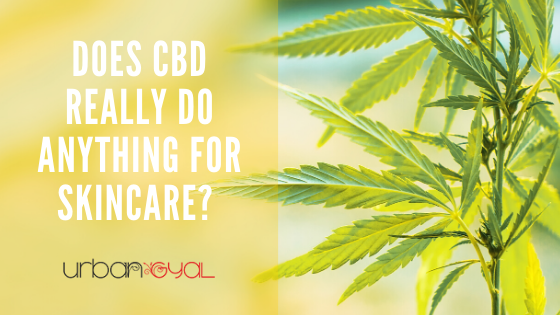 Does CBD really do anything? Here’s How CBD Benefits your Skin